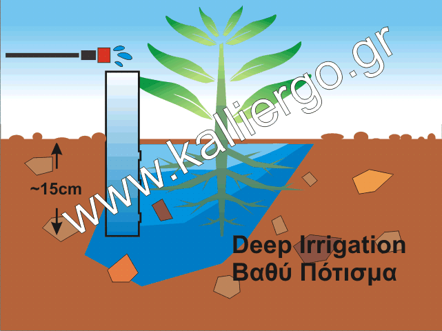 deep irrigation - βαθύ πότισμα