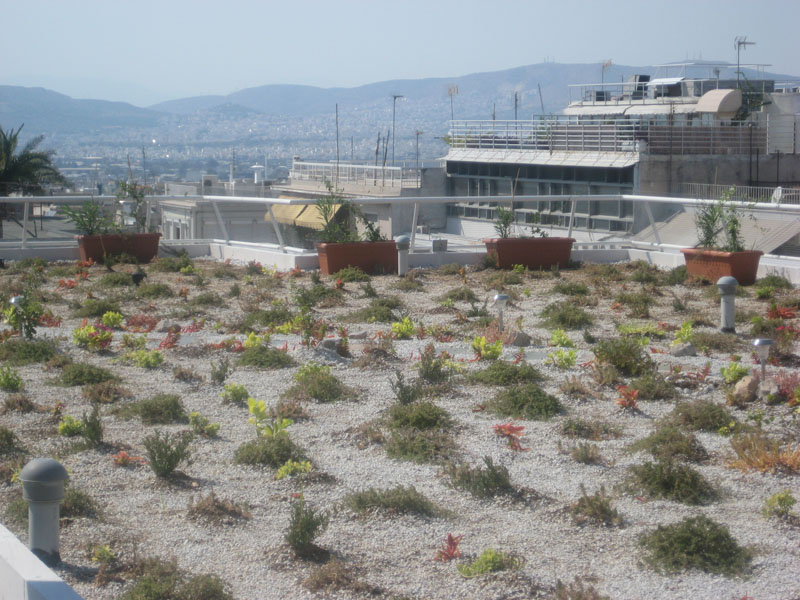 πράσινη στέγη εκτατικός τύπος