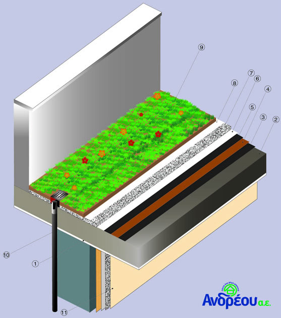τομή κατασκευής πράσινης στέγης