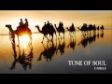 Tune of Soul - Camels (Original Mix)
