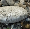 Ψωμί από πέτρες - Julius Hensel - Bread from stones