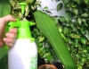 Οικολογικά εντομοκτόνα με απλά υλικά που έχουμε όλοι στα σπίτια μας