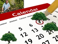 Ημερολόγιο λίπανσης δέντρων και λαχανικών
