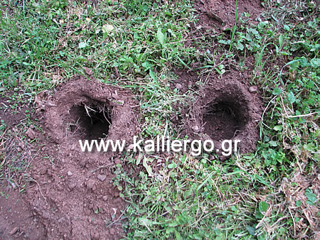 δύο τρύπες στο χώμα