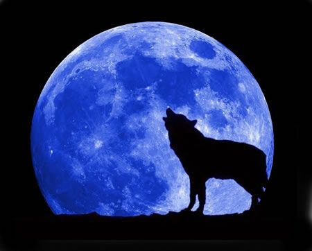σελήνη και λύκος