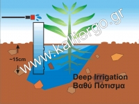 Πότισμα απευθείας στη ρίζα (deep irrigation)