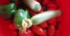 Ντομάτες Πιπεριές Κολοκύθια - Παραγωγή από τον κήπο σας - Στήριξη ντομάτας με καλάμια