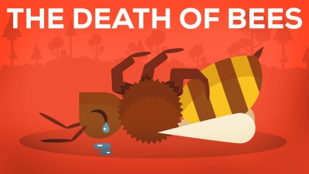 Το Ανησυχητικό Φαινόμενο της Μείωσης των Μελισσών